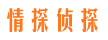 宽城侦探公司